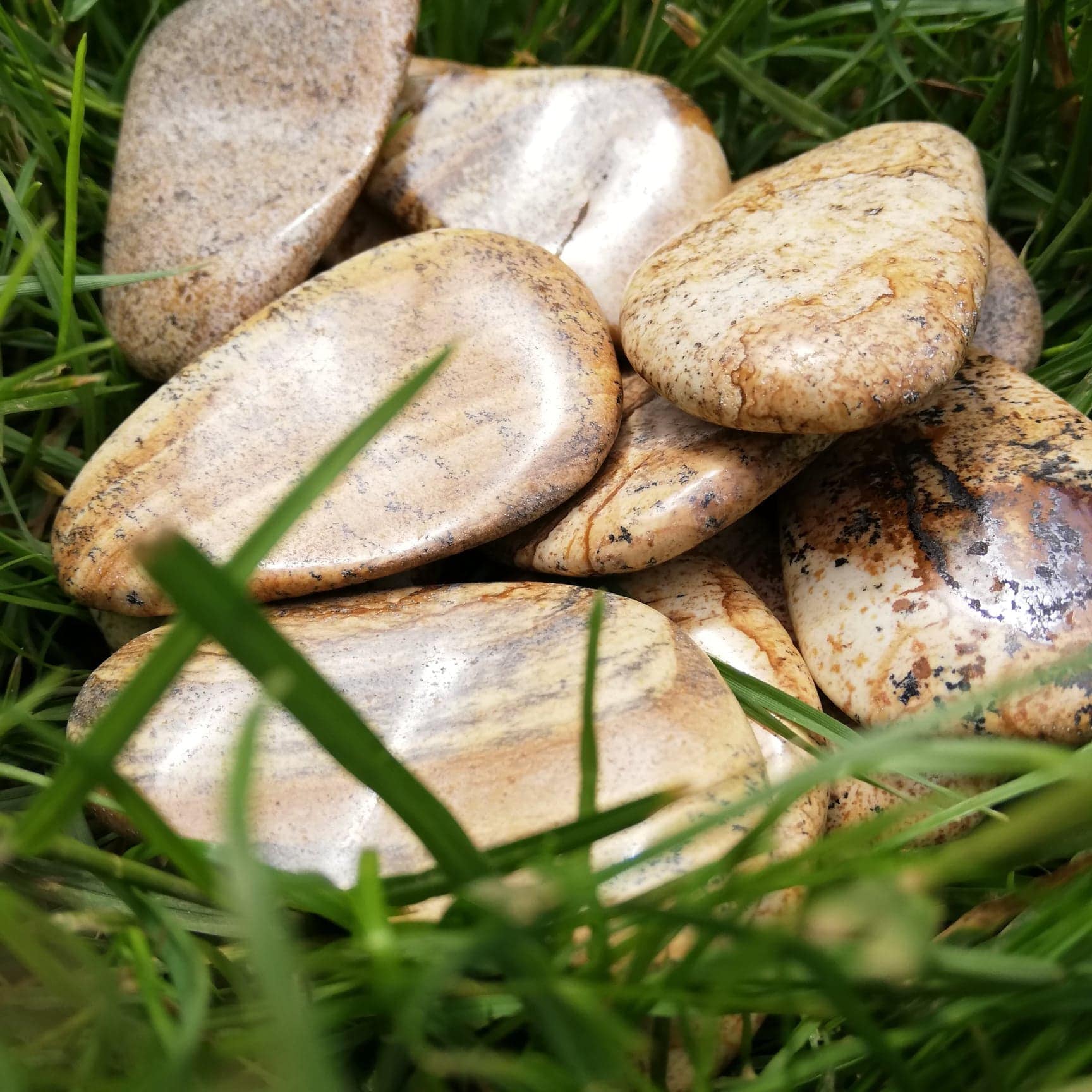 Photo Jasper/Palm Stone Meditation Healing Crystal Master Nuturer Worry Stone