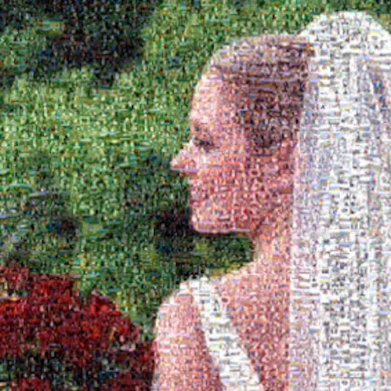 May include: A bride wearing a white wedding dress and veil, with a red rose in the background.