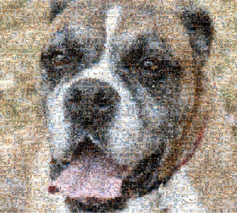 May include: A close-up mosaic image of a dog's face. The mosaic is made up of many smaller images of dogs, creating a textured and colorful effect.