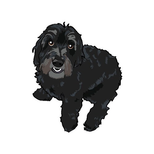 Etsy profile picture for @lovefelix