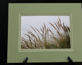 Oregon coast -- Matted Photo