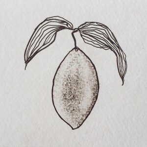 Illustration de citron en impression d'art – carte postale | dessin numérique | Impression d'art OddballOasis sur papier photo de haute qualité | idée cadeau