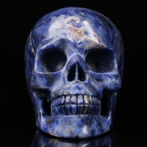 Sodalite 5.0"Crystal Skull Hand Carved Crystal Skull Home Decor Meditation Aid Energy Gift Father Handmade Gift Personalized Gift For Him