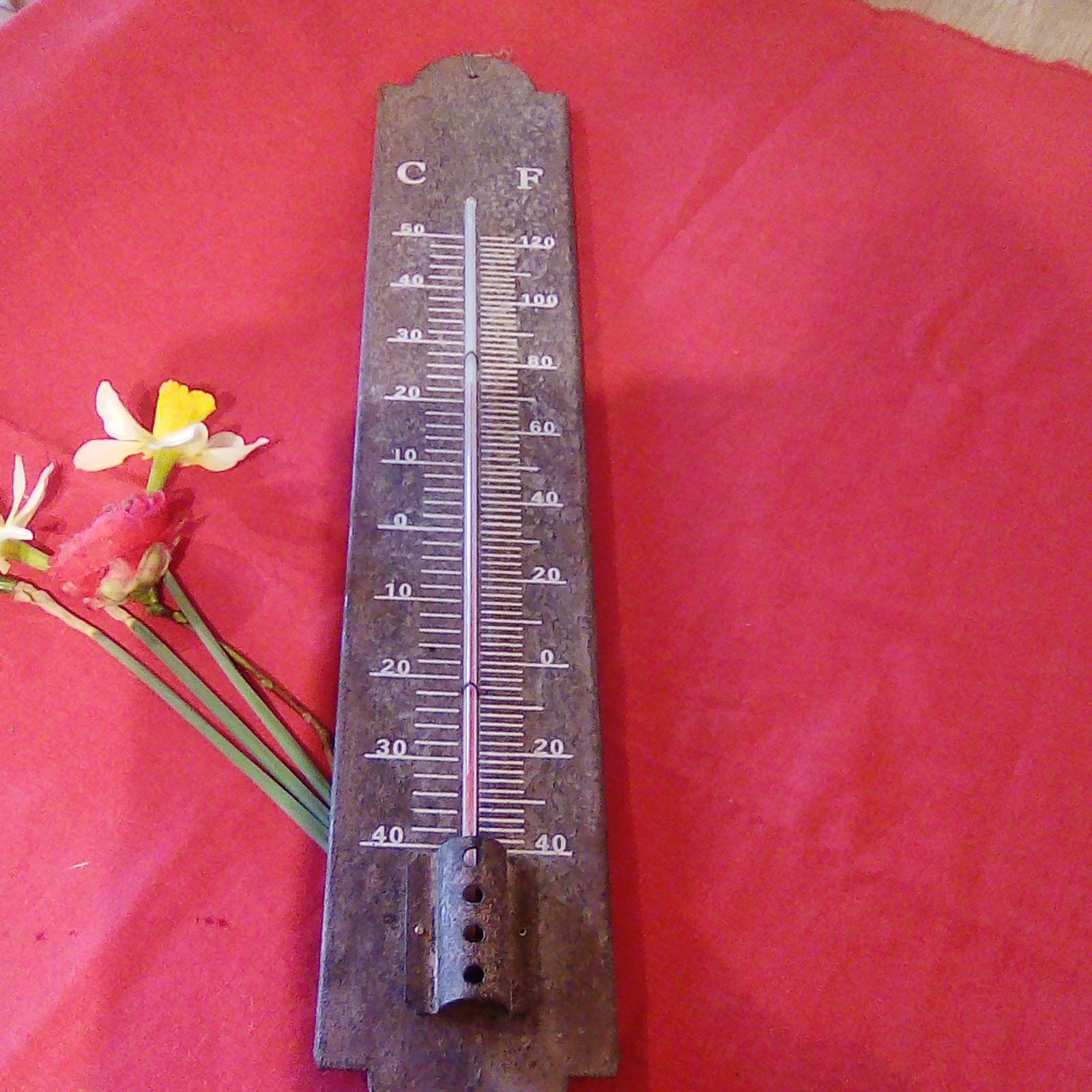 Thermomètre de Jardin Vintage, Français Rustique. Métal. Accessoire Jardin.