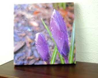 Braille Art, Crocus Canvas Print, Canvas Quote Art, Braille Stretched Canvas Art, Braille Photography, College Dorm Decor, Braille Poetry