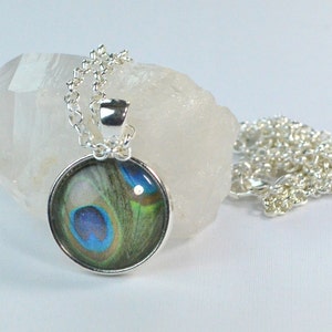 Peacock Necklace - Peacock Jewelry - Photography Necklace - Photograph Necklace - Feather Necklace - Photo Necklace - Photo Jewelry