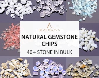 Natural Gemstone Chips Beads 1oz Irregular Shaped Freeform Loose Nugget Beads Findings with hole for DIY Jewelry Making Bulk by BEADNOVA