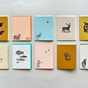 Nature Wonders Card 10 Pack - Wolf, Bear, Deer, Rabbit, Moth, Bat, Heron, Owl, Fish, Seashell, Animals