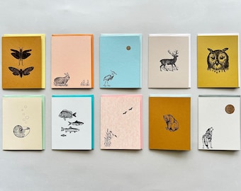 Nature Wonders Card 10 Pack - Wolf, Bear, Deer, Rabbit, Moth, Bat, Heron, Owl, Fish, Seashell, Animals