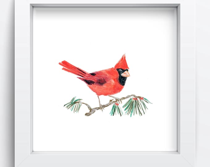 Cardinal Prints