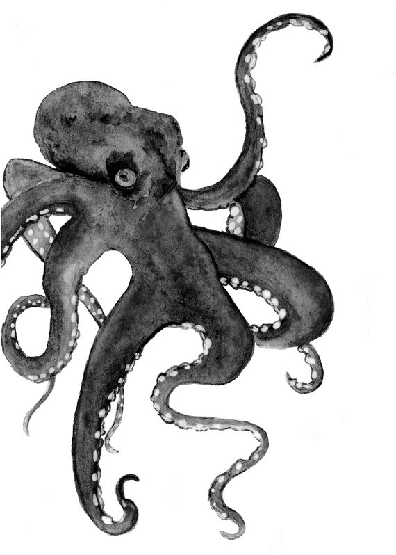Printable Octopus Art Octopus Decor Octopus Art Print | Etsy