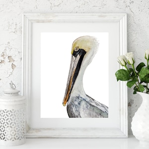 Pelican Watercolor Art Print, Nautical Bird Painting, Coastal Decor, Pelican Painting, Pelican Art, Bird Art Print