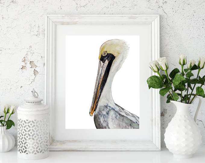 Pelican Prints
