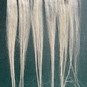 May include: Five strands of long, straight, light blonde human hair extensions with clips attached. The hair extensions are hanging down against a dark green background.