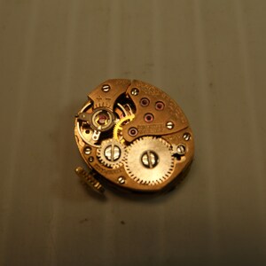 May include: Close-up of a gold-toned watch movement with intricate gears and a small red jewel. The movement is exposed, showing the inner workings of the watch.