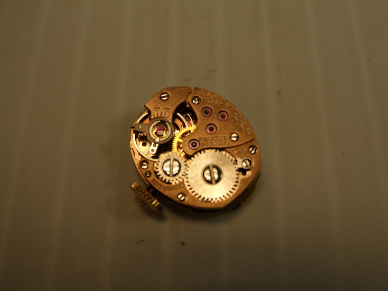 May include: Close-up of a gold-toned watch movement with intricate gears and a small red jewel. The movement is exposed, showing the inner workings of the watch.