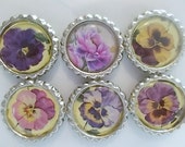 Bottle cap magnets, six magnets, refrigerator magnets, magnets, kitchen magnets, home decor