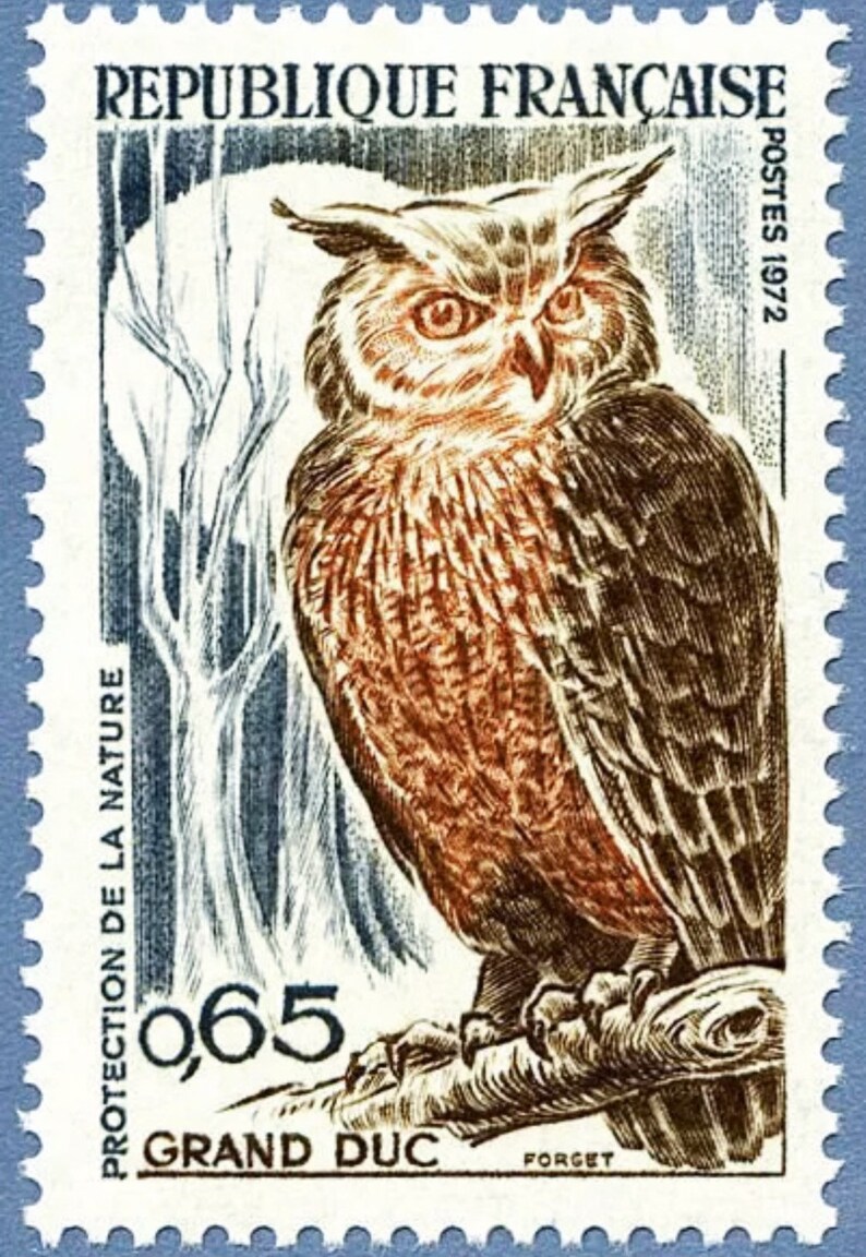 охота на сов по французски