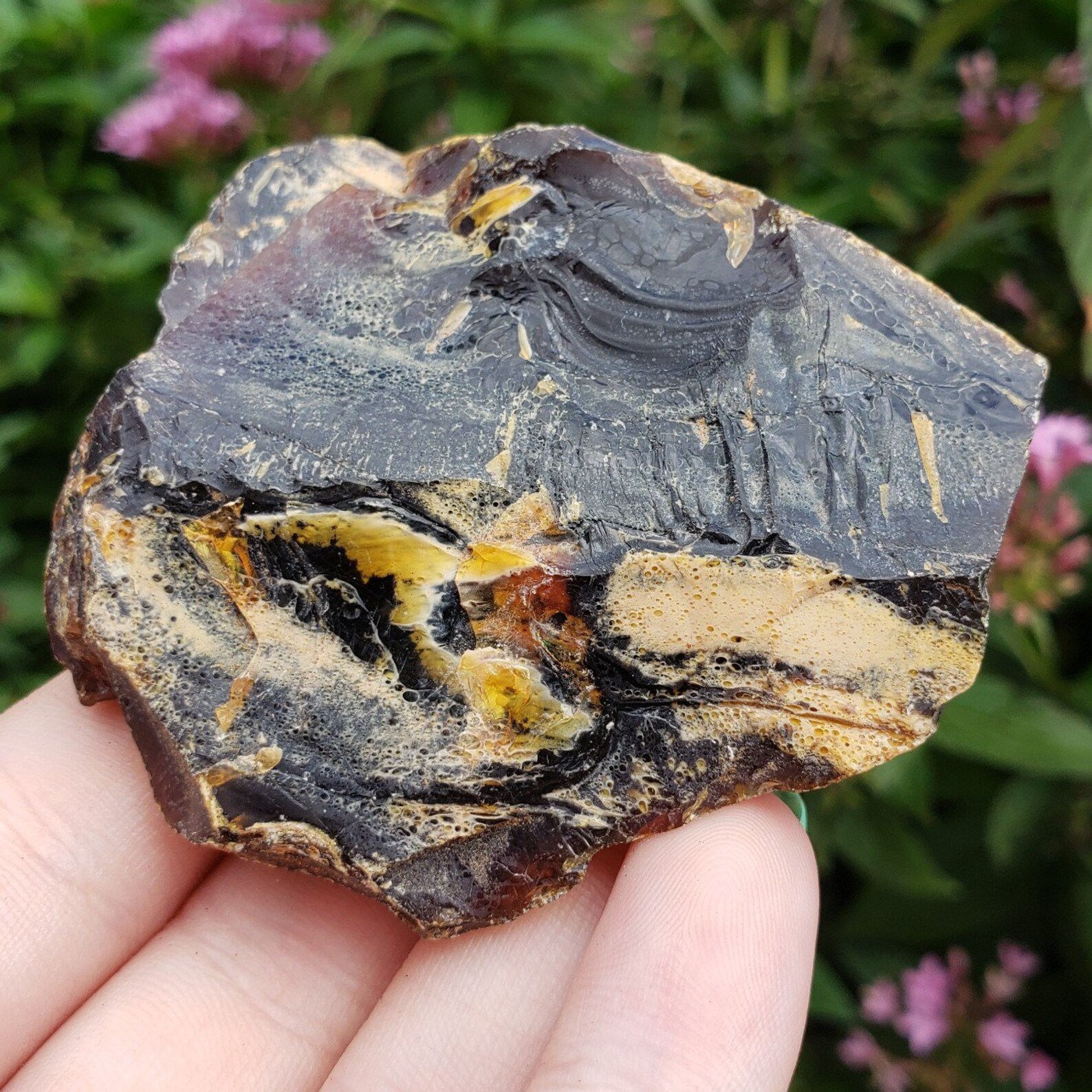 Amber Genuine Petrified Fossilized Tree Sap From Sumatra | Etsy