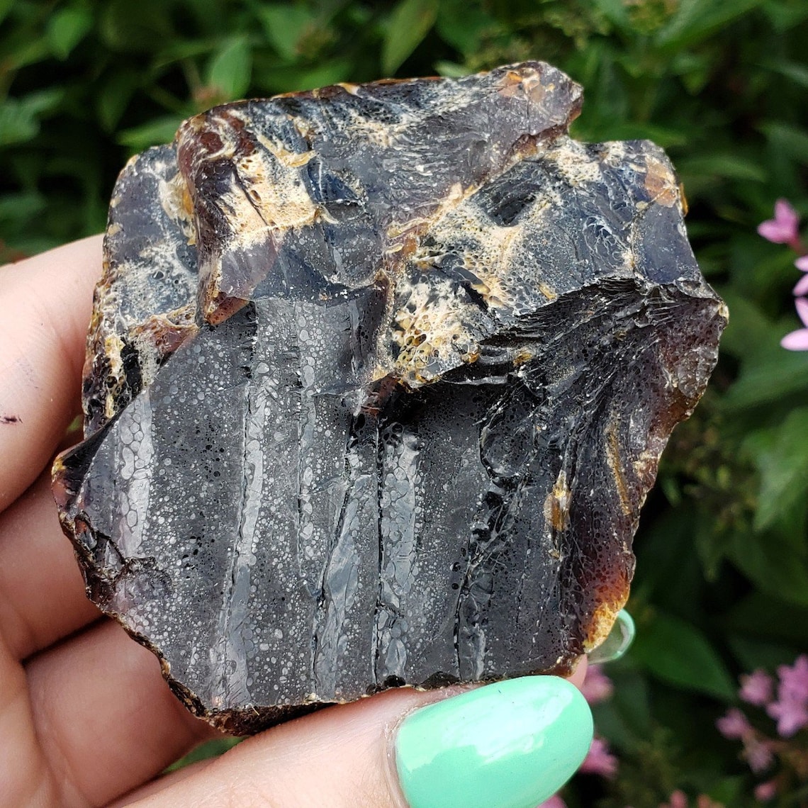 Amber Genuine Petrified Fossilized Tree Sap From Sumatra | Etsy