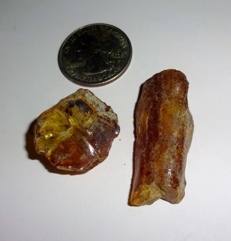 Amber Fossilized Tree Sap Amber From Indonesia Natural Raw - Etsy