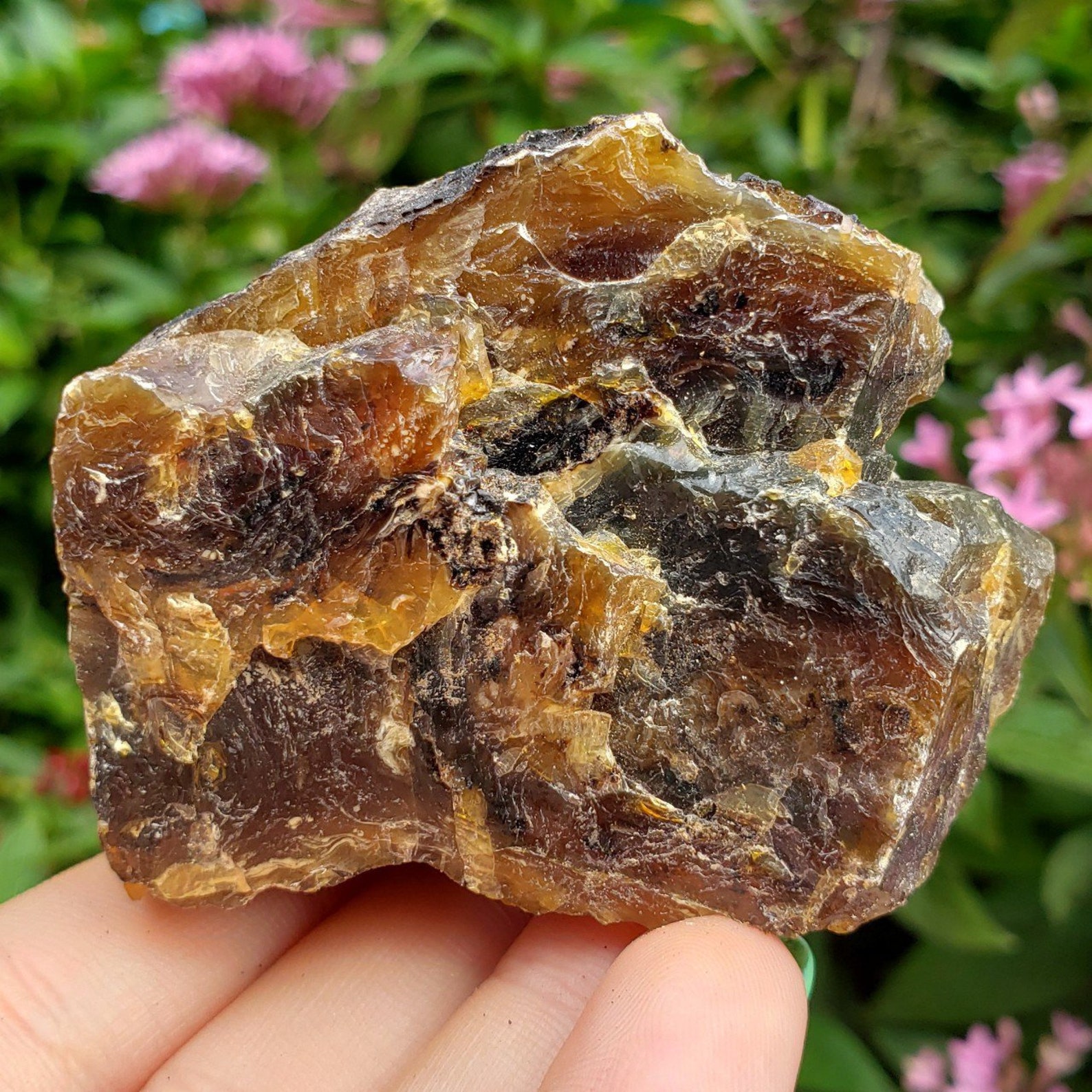 Amber Genuine Petrified Fossilized Tree Sap From Sumatra | Etsy