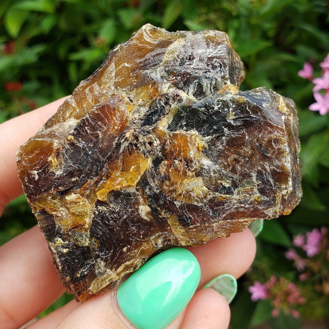 Amber Genuine Petrified Fossilized Tree Sap From Sumatra | Etsy