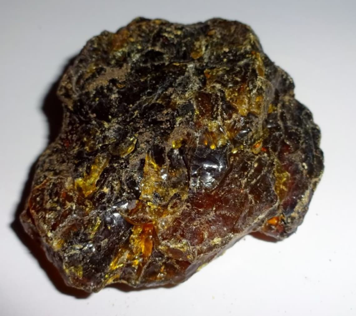Amber Genuine Petrified fossilized Tree sap from Sumatra | Etsy