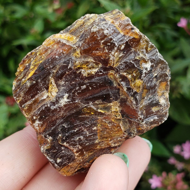 Amber Genuine Petrified Fossilized Tree Sap From Sumatra | Etsy