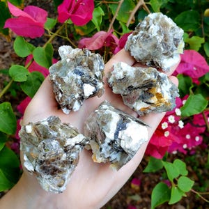Mica multi colored A Grade Cluster Raw Natural Rough Crystal Healing Gemstone Specimen Stone 1pc