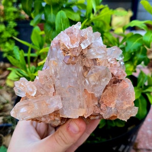 Red Dragon Quartz Multi point cluster Red Phantom Quartz Red Hematite Large Crystal Healing Gemstone specimen