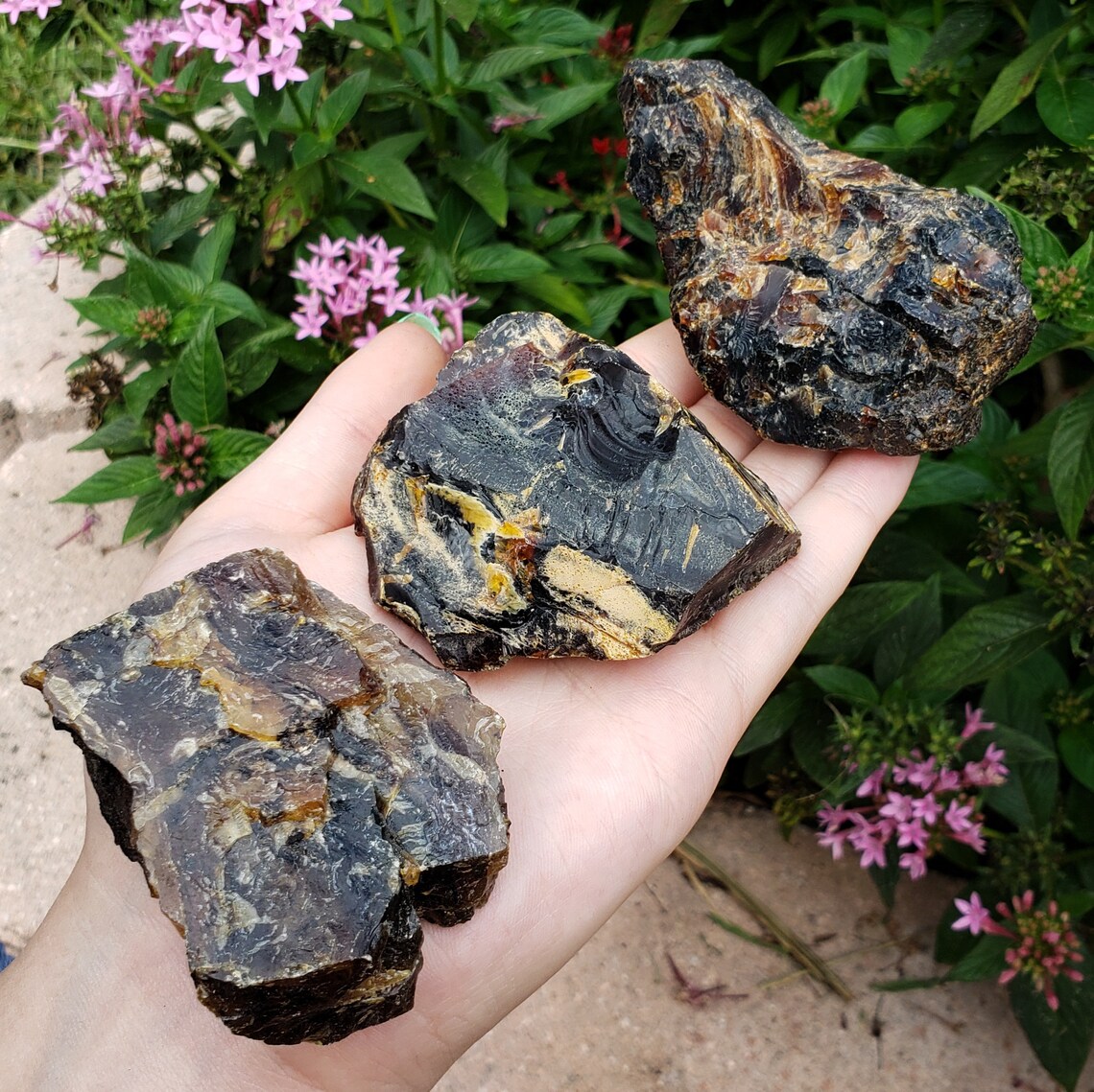 Amber Genuine Petrified Fossilized Tree Sap From Sumatra | Etsy