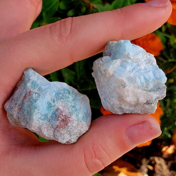 Larimar - Atlantis Dolphin Stone Blue Pectolite from Dominican Republic Natural raw rough Healing Crystal Gemstone Larimar Specimen 2pc set