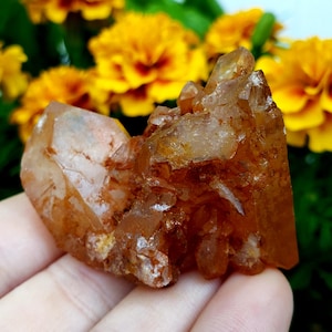 Red Dragon Quartz Multi point cluster Red Phantom Quartz Red Hematite Crystal Healing Gemstone specimen - pc#8