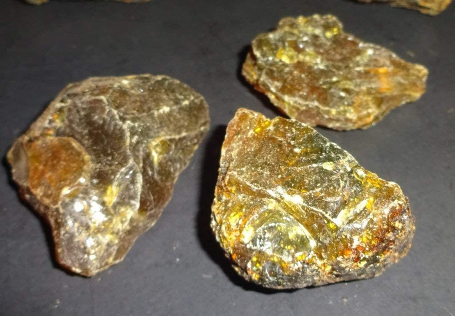 Amber Fossilized Tree Sap Amber From Indonesia Natural Raw - Etsy Sweden