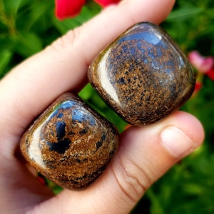 Bronzite Natural Crystal tumbled and Polished Gemstone Chakra Grounding Stone - Bronzite from India - 2pc set