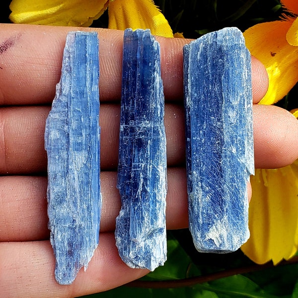 Blue Kyanite from Brazil A Graded Cluster druzy Blades Raw Natural Rough Crystal Healing Gemstone Specimens Mother Earth Stones - 3pc set