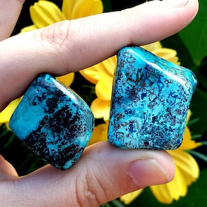 Shattuckite Tumbled & Hand Polished Natural Healing Crystal Gemstone Specimen Stone - 2pc