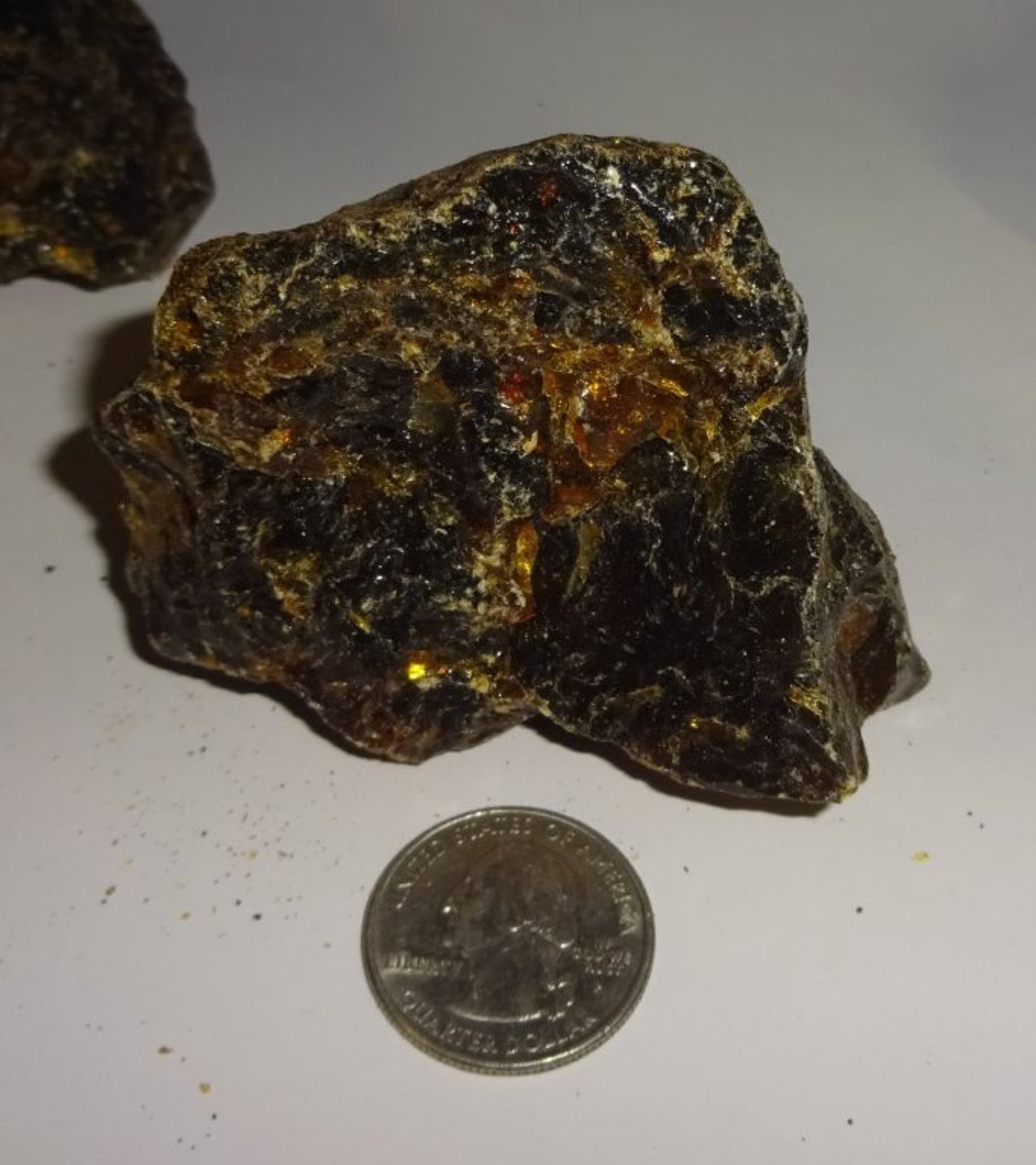 Amber Genuine Petrified Fossilized Tree Sap From Sumatra - Etsy