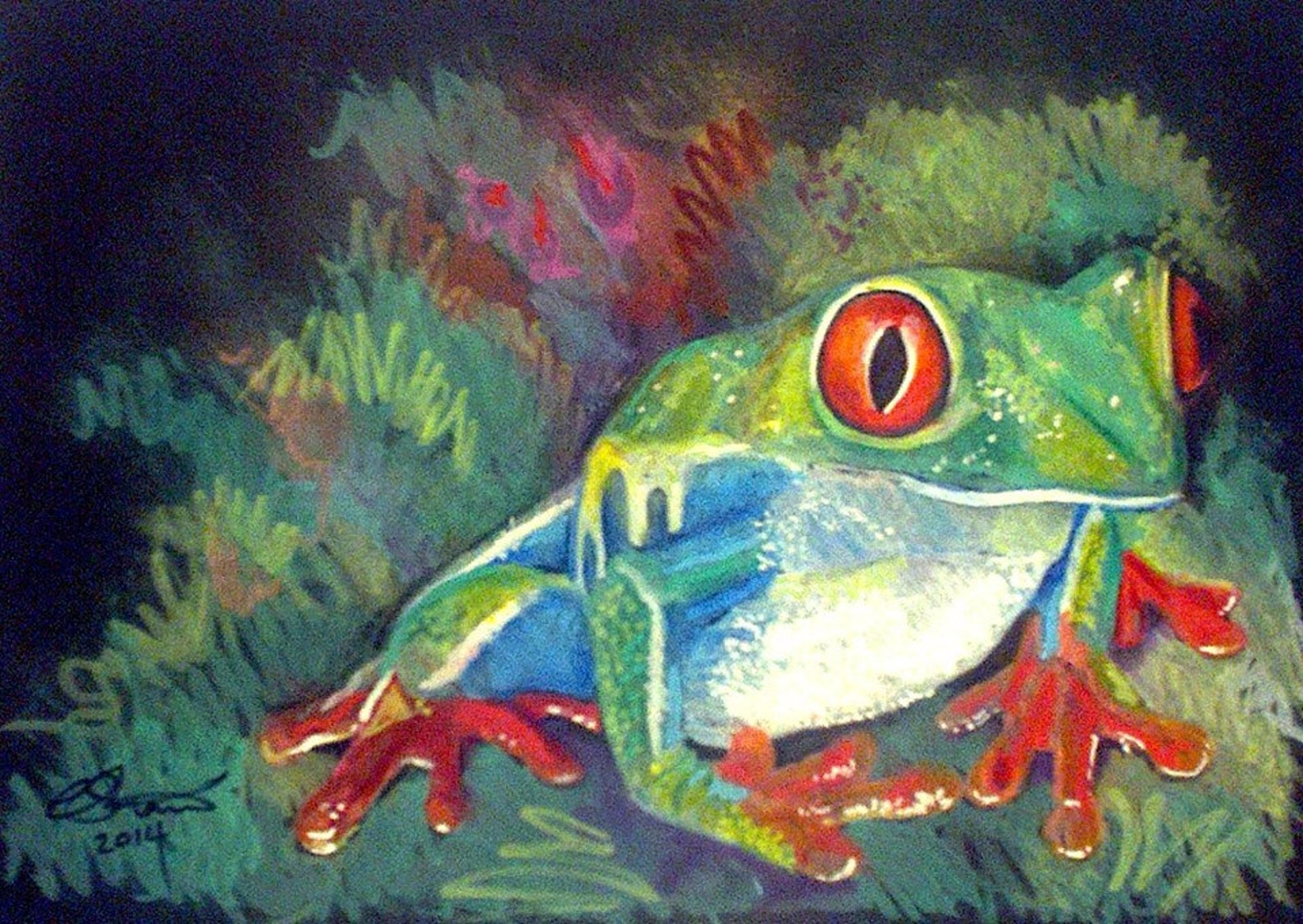 Grenouille darbre dessin dessin Original de format A4. Etsy