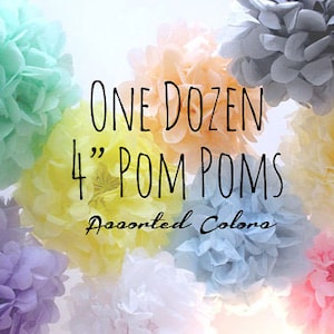 Pode incluir: Uma dúzia de pompons de 10 cm de diâmetro em cores sortidas. Os pompons são feitos de papel de seda e são uma decoração popular para festas e eventos.