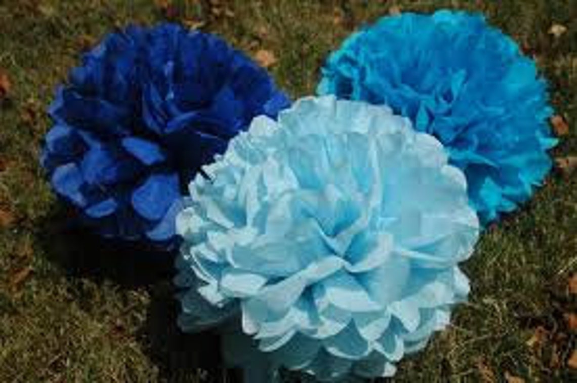 One Dozen Extra Large 16 Tissue Pom Poms/set of 12 Etsy