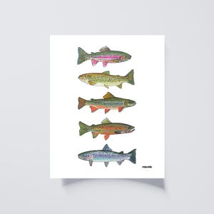 Truite Art | 8 x 10 | 5 x 7 | Espèces de poisson | Steelhead fardée arc-en-ciel brun Brook | Peinture de pêche | Truite de la Colombie-Britannique | impression | homme des cavernes | pêcheur