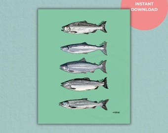 Salmon Species Print: Pacific Northwest Fishing Art (Digital Download)