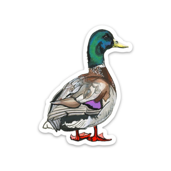 Duck Sticker | vinyl Sticker | Wildlife art | Die Cut | original art  | waterproof | durable | gift idea | accessories | mallard