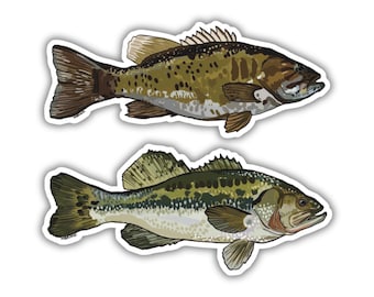 Bass Fishing Stickers: Matte Vinyl Decals for Tackle Boxes - largemouth and/or smallmouth