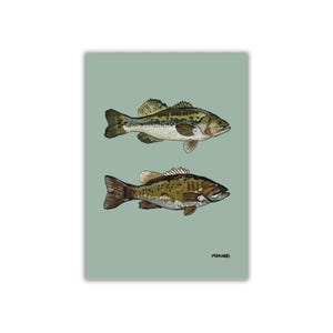 Largemouth & Smallmouth Bass Art Print: geïllustreerd visserijdecor