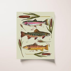 Trout Species Art Print | 8x10 Wall Art | Fishing Cabin Decor | Rainbow, Brook, Brown Trout Illustration | Nature Lover Gift | Fathers Day