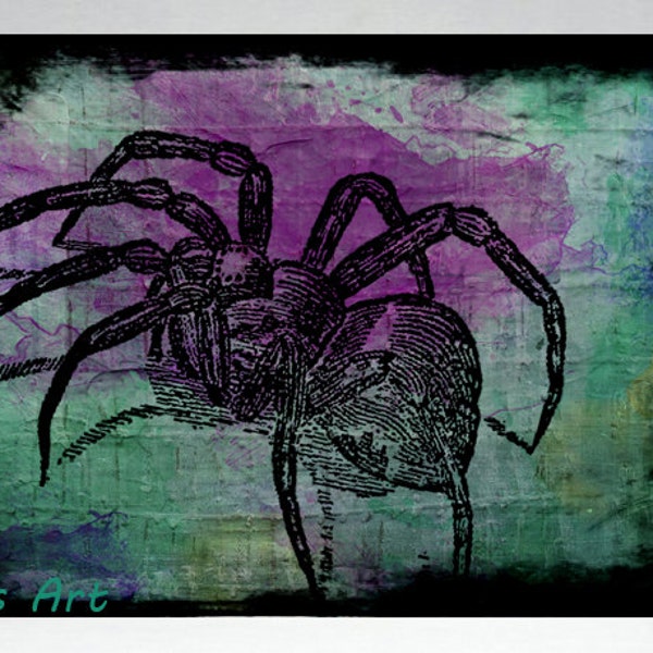 Spider Tarantula Drawing Watercolor Mix Media Vintage style Art Fine Art Wall Hanging Unique Interior Design Home decor Decorative Colorful
