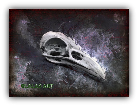 Vintage Style Art Picture Crow Skull Gothic Bones Wall 